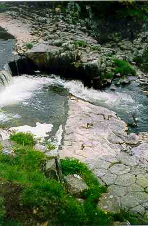 La rivière des Plèches
