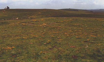 Vue générale du site d'Ad Silanum en 2000